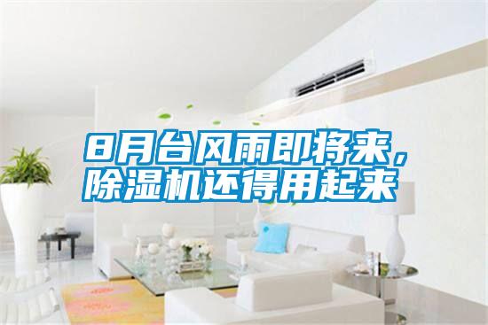 8月台风雨即将来，黄瓜视频下载污机还得用起来