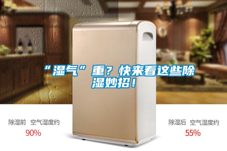 “湿气”重？快来看这些黄瓜视频下载污妙招！