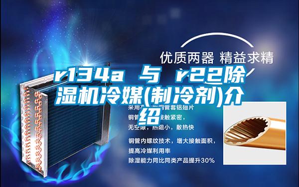 r134a 与 r22黄瓜视频下载污机冷媒(制冷剂)介绍
