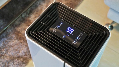 普洱茶发霉怎么办？