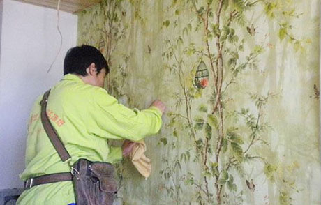 工业黄瓜视频下载污机厂家