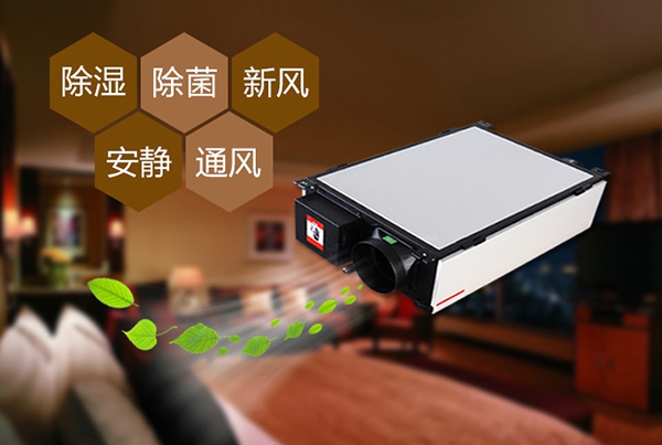如何预防办公室装修后的防潮问题？