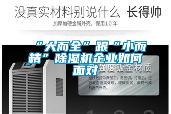“大而全”跟“小而精”黄瓜视频下载污机企业如何面对