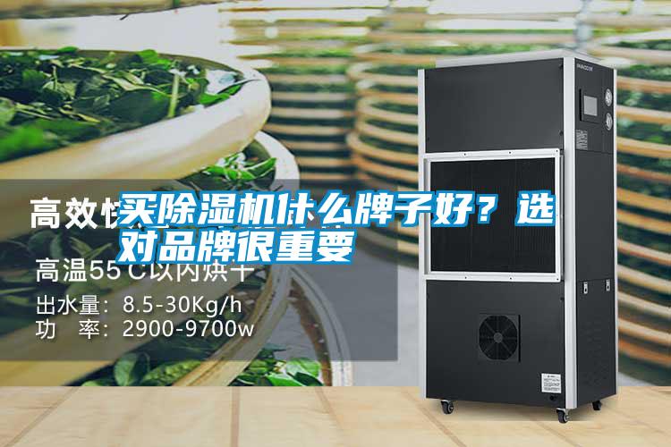买黄瓜视频下载污机什么牌子好？选对品牌很重要