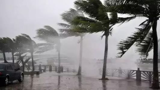 8月台风雨即将来，黄瓜视频下载污机还得用起来