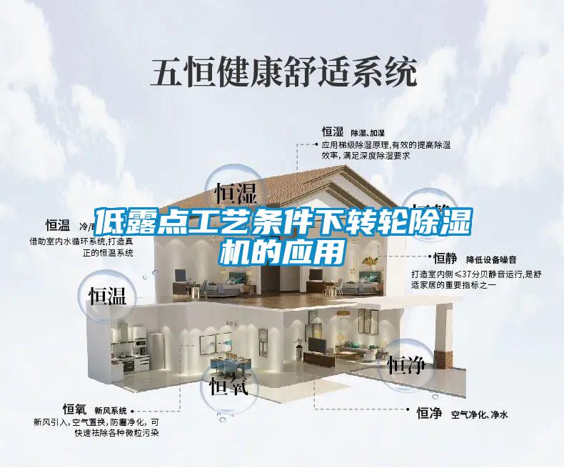 低露点工艺条件下转轮黄瓜视频下载污机的应用