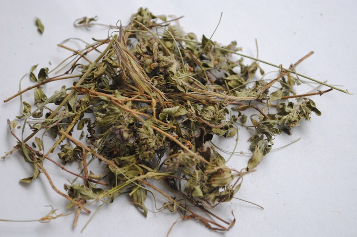 黄瓜视频网站入口烘干机