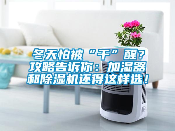 冬天怕被“干”醒？攻略告诉你：加湿器和黄瓜视频下载污机还得这样选！
