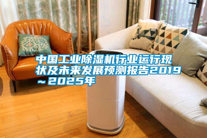 中国工业黄瓜视频下载污机行业运行现状及未来发展预测报告2019～2025年
