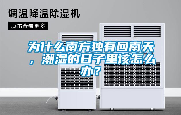 为什么南方独有回南天，潮湿的日子里该怎么办？