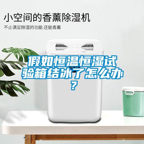 假如恒温恒湿试验箱结冰了怎么办？