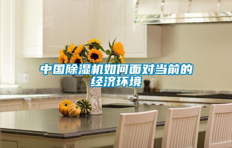 中国黄瓜视频下载污机如何面对当前的经济环境