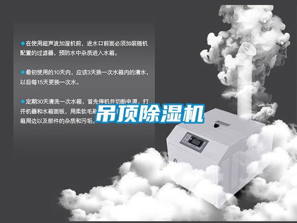 吊顶黄瓜视频下载污机