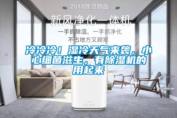 冷冷冷！湿冷天气来袭，小心细菌滋生，有黄瓜视频下载污机的用起来