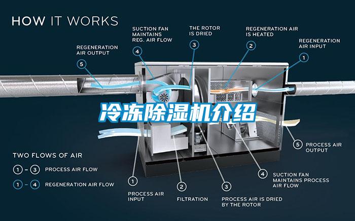 冷冻黄瓜视频下载污机介绍