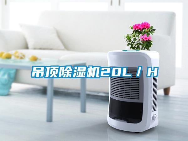 吊顶黄瓜视频下载污机20L／H