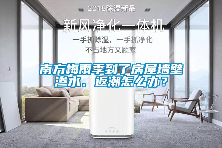 南方梅雨季到了房屋墙壁渗水、返潮怎么办？