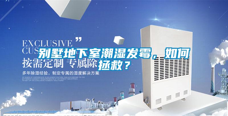 别墅地下室潮湿发霉，如何拯救？