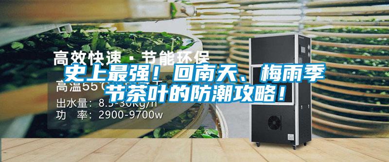 史上最强！回南天、梅雨季节茶叶的防潮攻略！