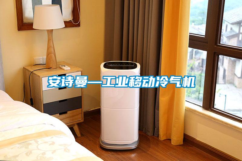 黄瓜视频网站入口—工业移动冷气机