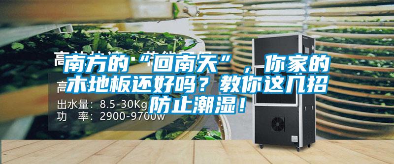 南方的“回南天”，你家的木地板还好吗？教你这几招防止潮湿！