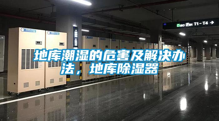 地库潮湿的危害及解决办法，地库黄瓜视频下载污器
