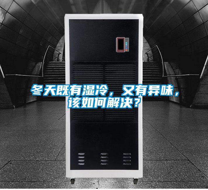 冬天既有湿冷，又有异味，该如何解决？