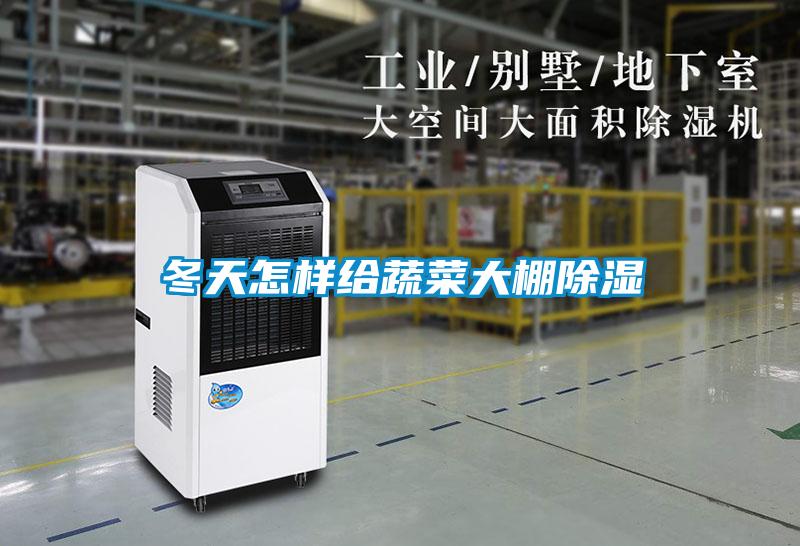 冬天怎样给蔬菜大棚黄瓜视频下载污