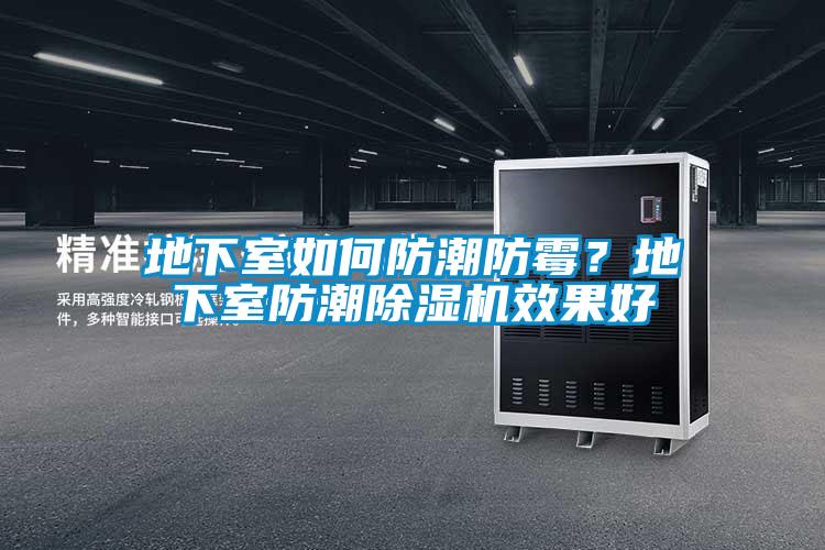 地下室如何防潮防霉？地下室防潮黄瓜视频下载污机效果好
