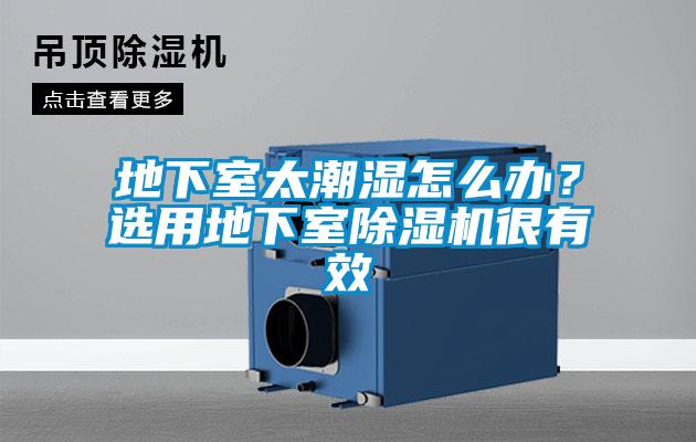 地下室太潮湿怎么办？选用地下室黄瓜视频下载污机很有效