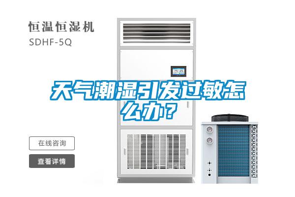 天气潮湿引发过敏怎么办？