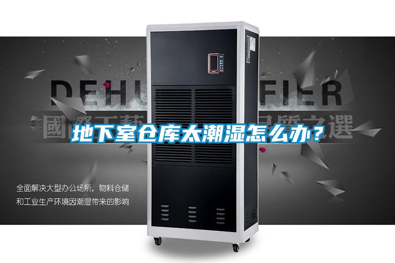 地下室仓库太潮湿怎么办？