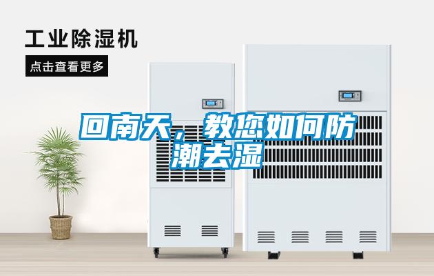 回南天，教您如何防潮去湿