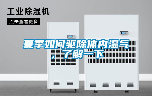 夏季如何驱除体内湿气，了解一下