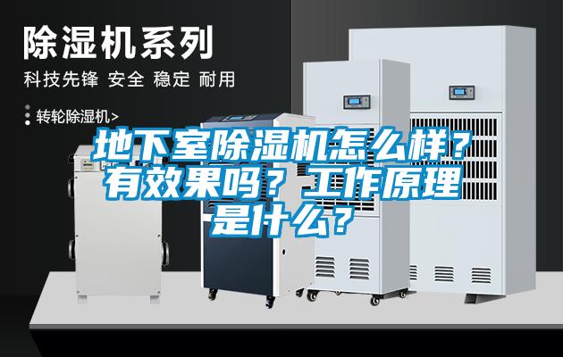 地下室黄瓜视频下载污机怎么样？有效果吗？工作原理是什么？