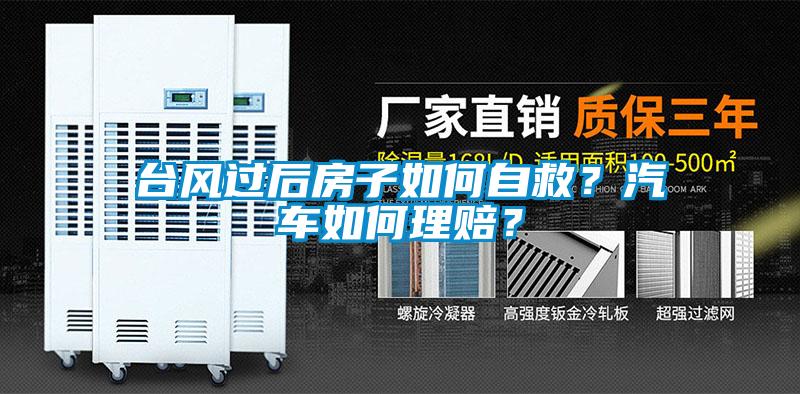 台风过后房子如何自救？汽车如何理赔？