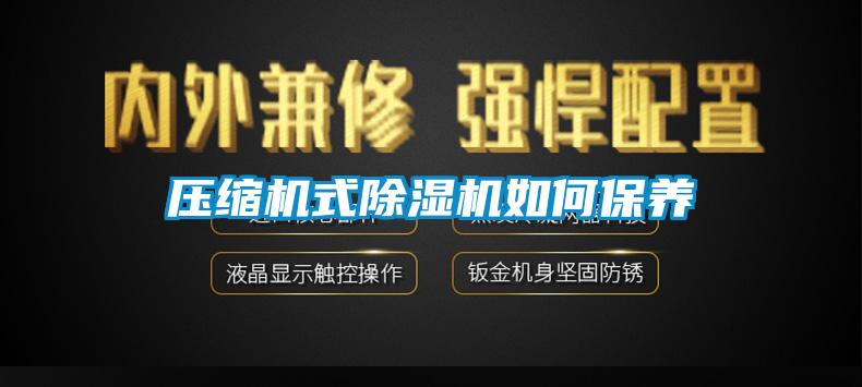 压缩机式黄瓜视频下载污机如何保养