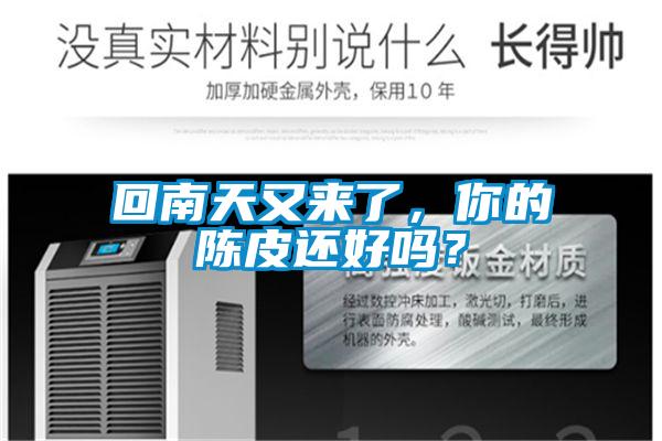 回南天又来了，你的陈皮还好吗？