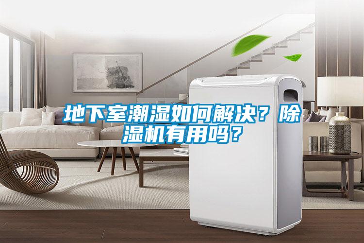地下室潮湿如何解决？黄瓜视频下载污机有用吗？