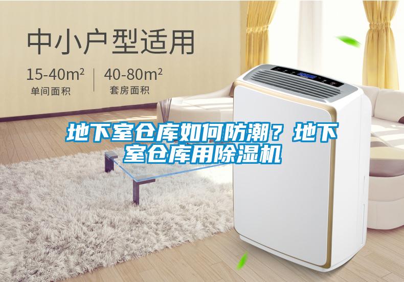 地下室仓库如何防潮？地下室仓库用黄瓜视频下载污机