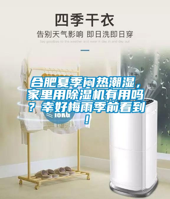 合肥夏季闷热潮湿，家里用黄瓜视频下载污机有用吗？幸好梅雨季前看到！
