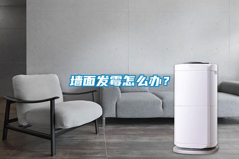 墙面发霉怎么办？