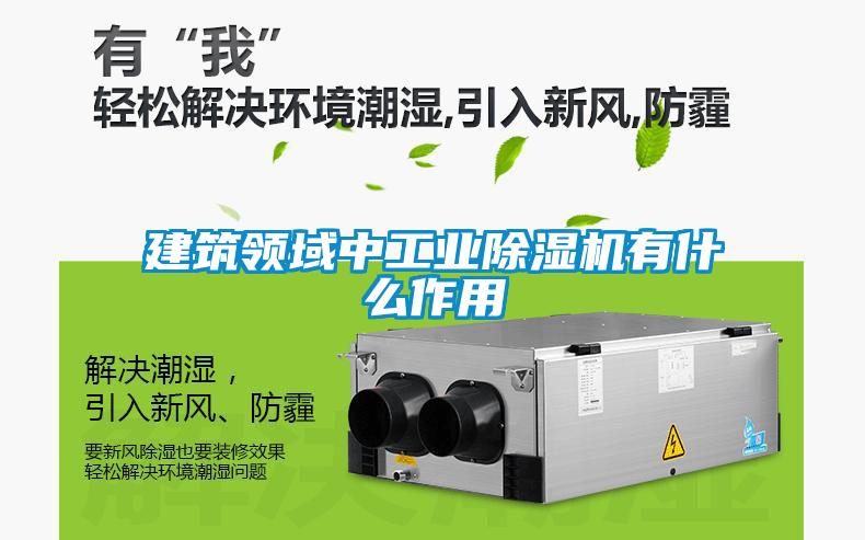 建筑领域中工业黄瓜视频下载污机有什么作用