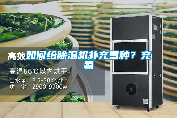 如何给黄瓜视频下载污机补充雪种？充氟