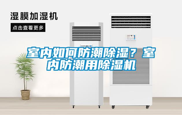 室内如何防潮黄瓜视频下载污？室内防潮用黄瓜视频下载污机