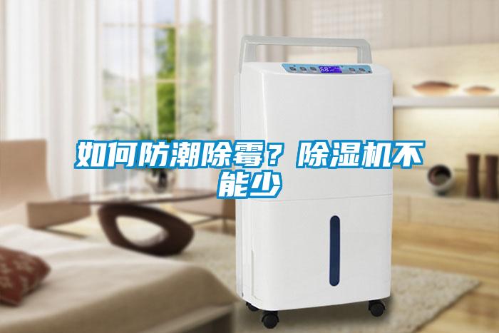 如何防潮除霉？黄瓜视频下载污机不能少