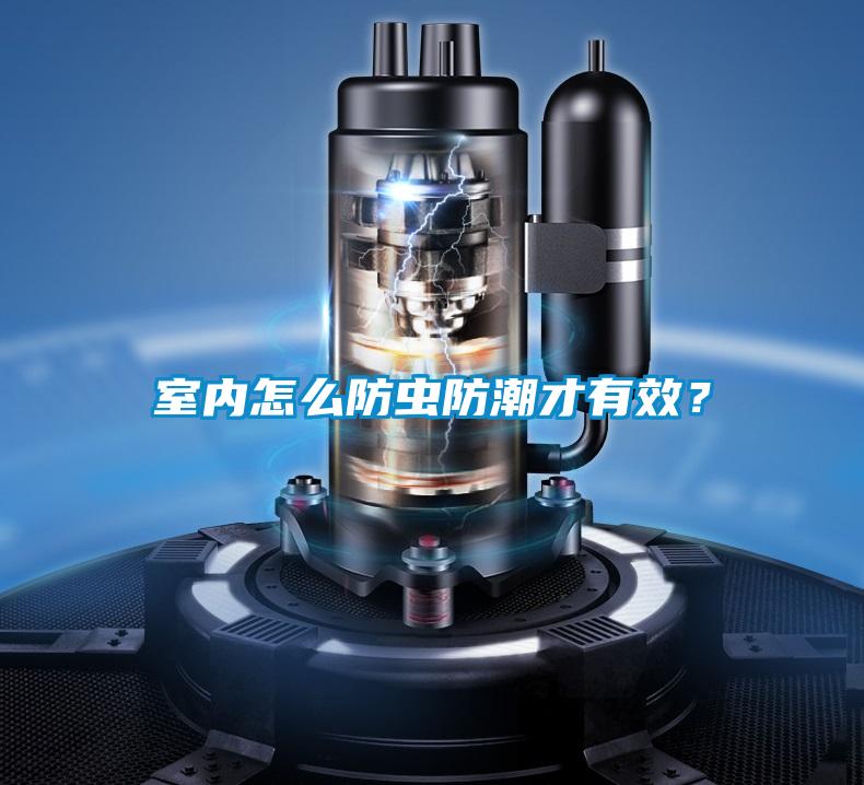 室内怎么防虫防潮才有效？