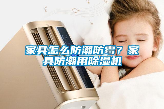 家具怎么防潮防霉？家具防潮用黄瓜视频下载污机