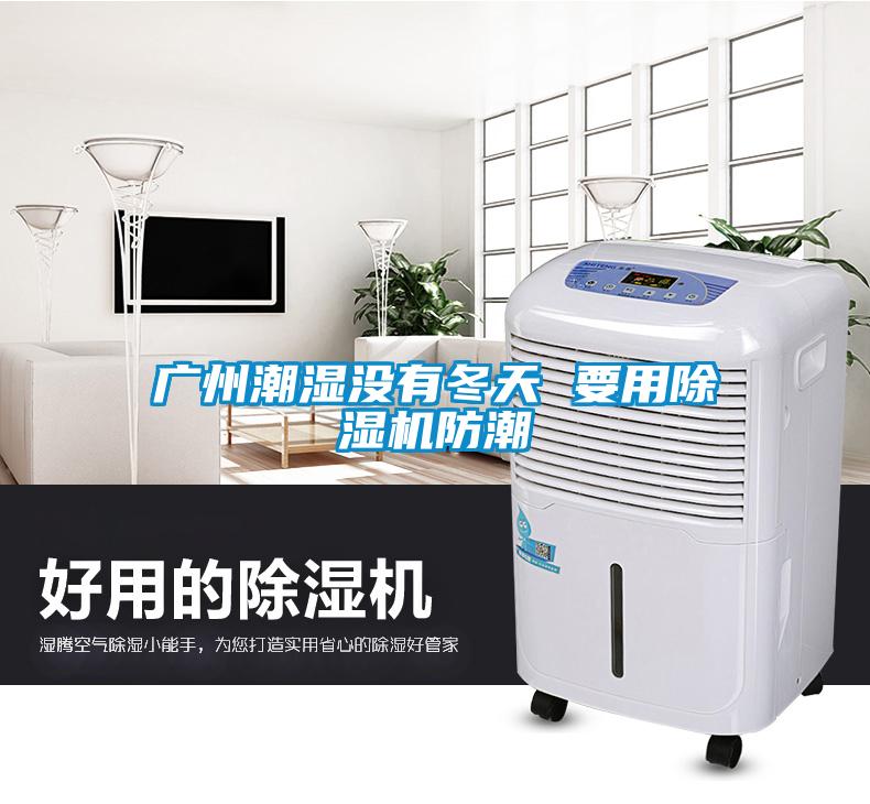 广州潮湿没有冬天 要用黄瓜视频下载污机防潮