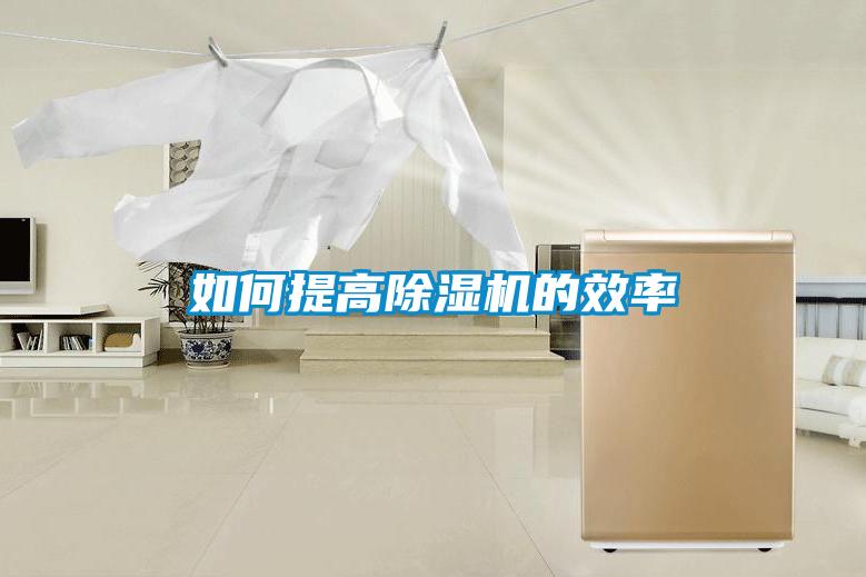 如何提高黄瓜视频下载污机的效率